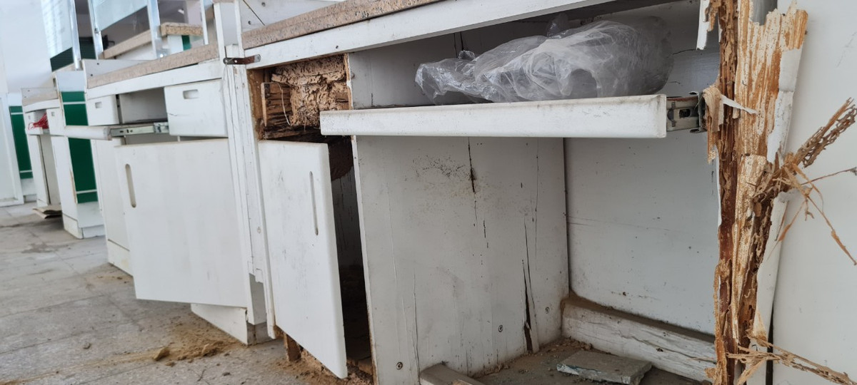 Do bỏ hoang nhiều năm, mối đã đục hỏng các đồ dùng bẳng gỗ.