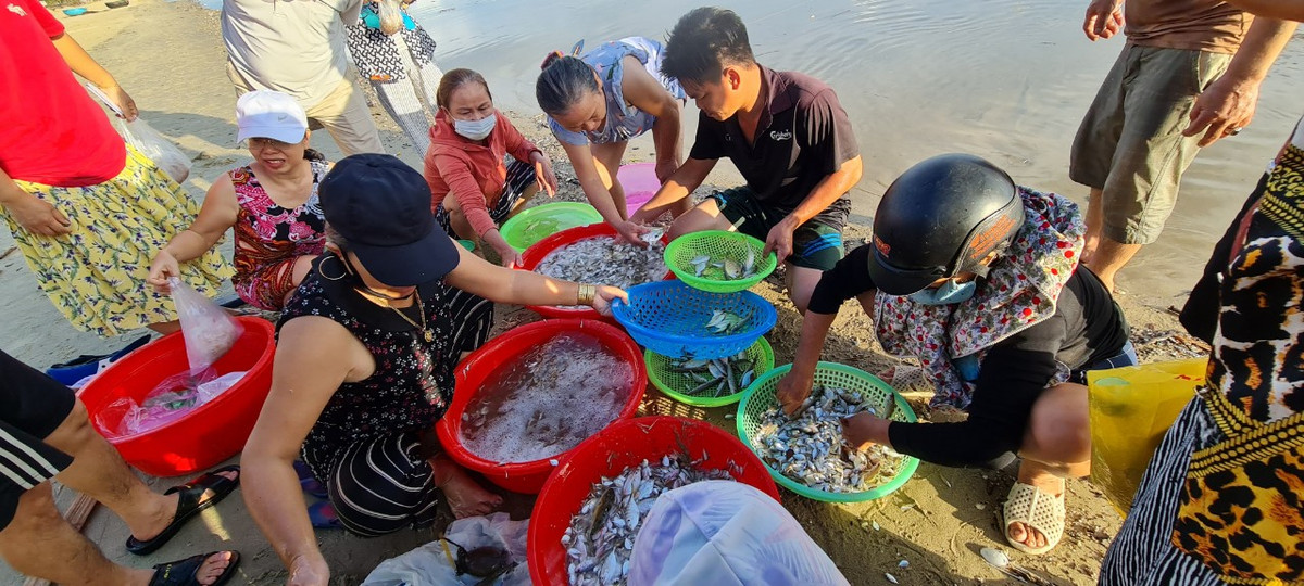 Chợ cá đã bắt đầu đông khách. Không khí nhộn nhịp trước giờ nắng lên.