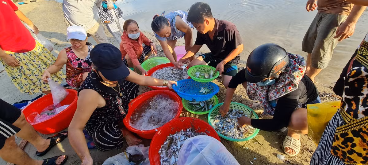 Chợ cá đã bắt đầu đông khách. Không khí nhộn nhịp trước giờ nắng lên.