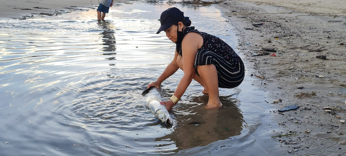 Con cá lớn nhất trong mẻ lưới sáng nay.