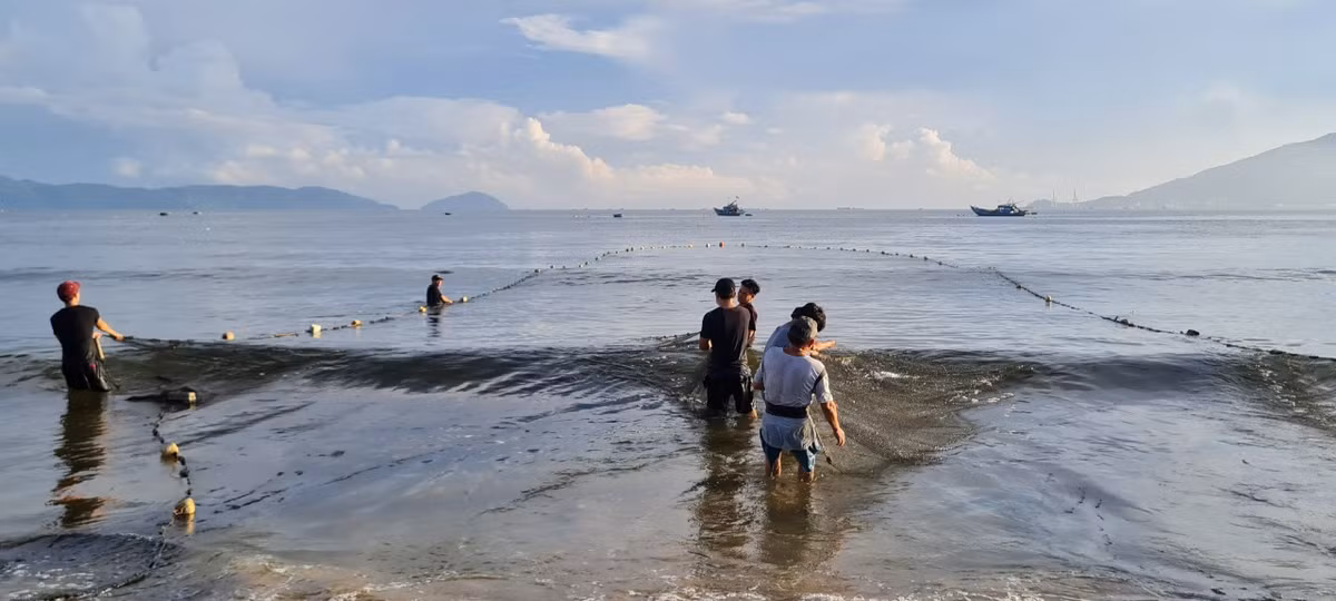 Trước đó, ngư dân thường tập trung thành nhóm ra biển thả lưới.