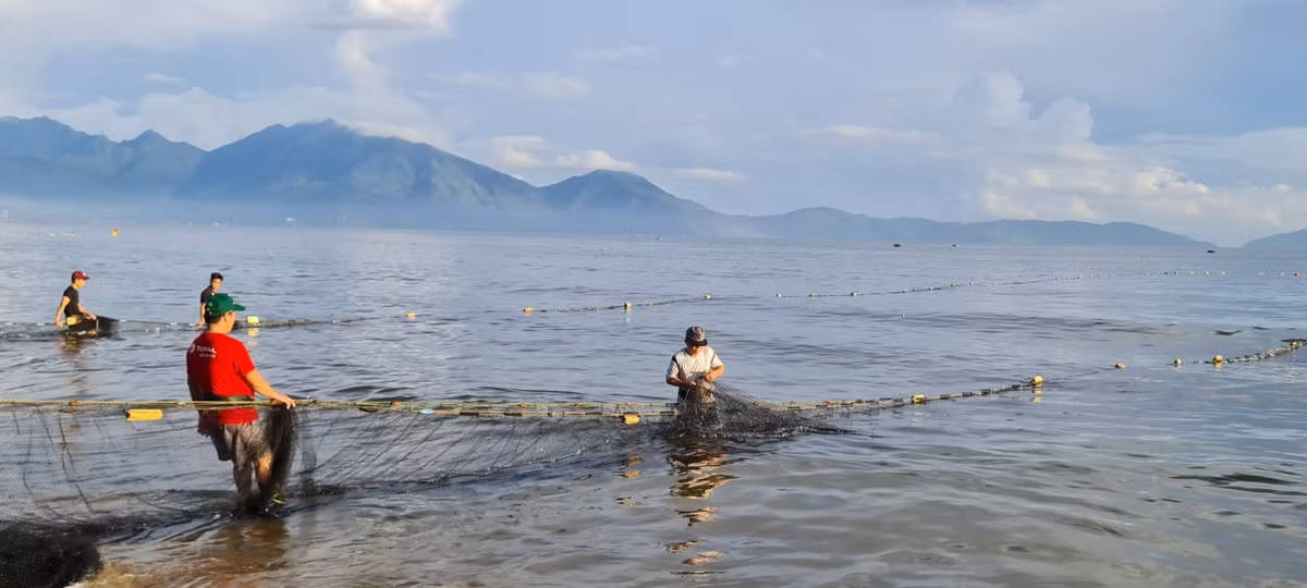 Lưới tiến vào gần bờ cũng là lúc trời hửng sáng.