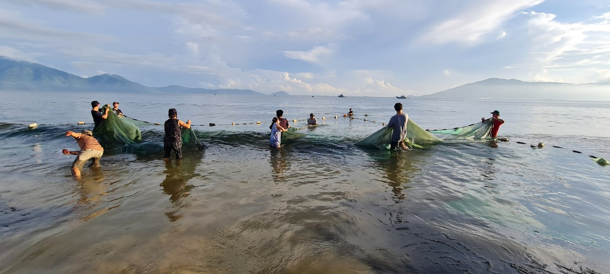 Hai đầu lưới được kéo sát lại với nhau để thủy sản gom vào đáy lưới.