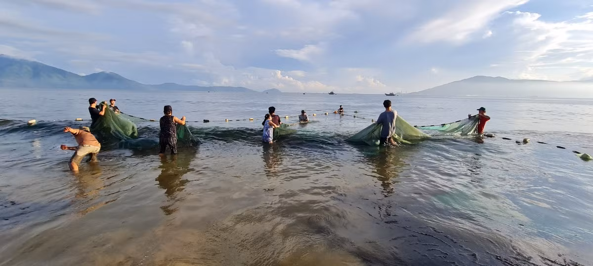 Hai đầu lưới được kéo sát lại với nhau để thủy sản gom vào đáy lưới.