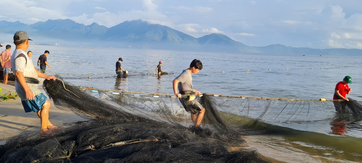 Các ngư dân nhanh tay kéo lưới về.