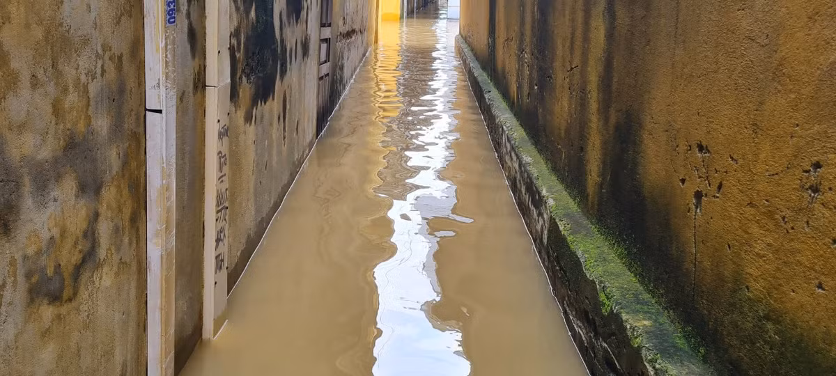 Cả những con hẻm thơ mộng trước đây cũng đầy nước.