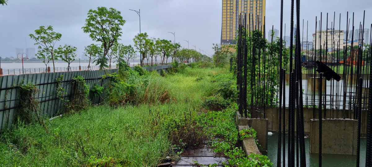 Còn tại công trình này, cỏ dại mọc um tùm.