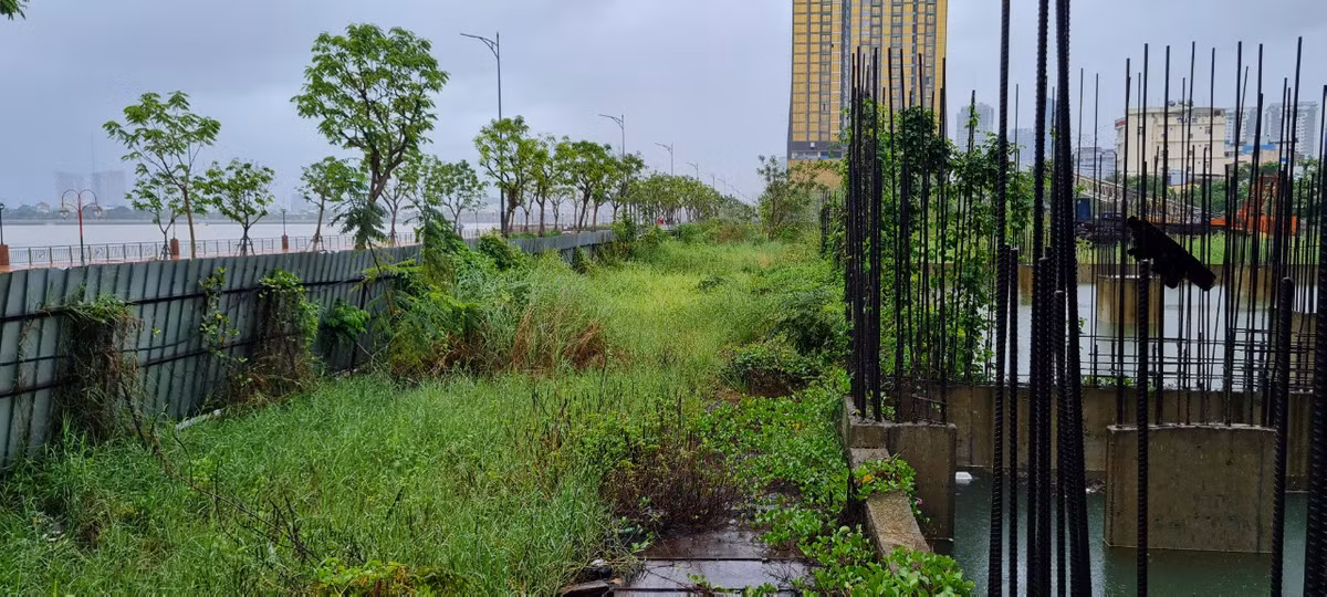 Còn tại công trình này, cỏ dại mọc um tùm.