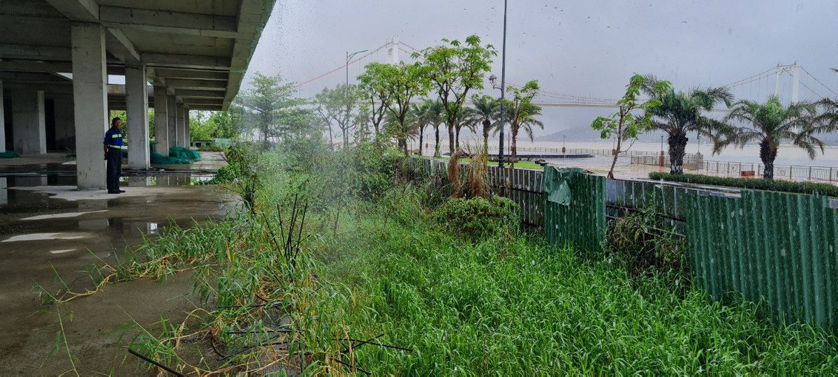 Xa xa là cầu Thuận Phước - cầu treo dây võng dài nhất Việt Nam.