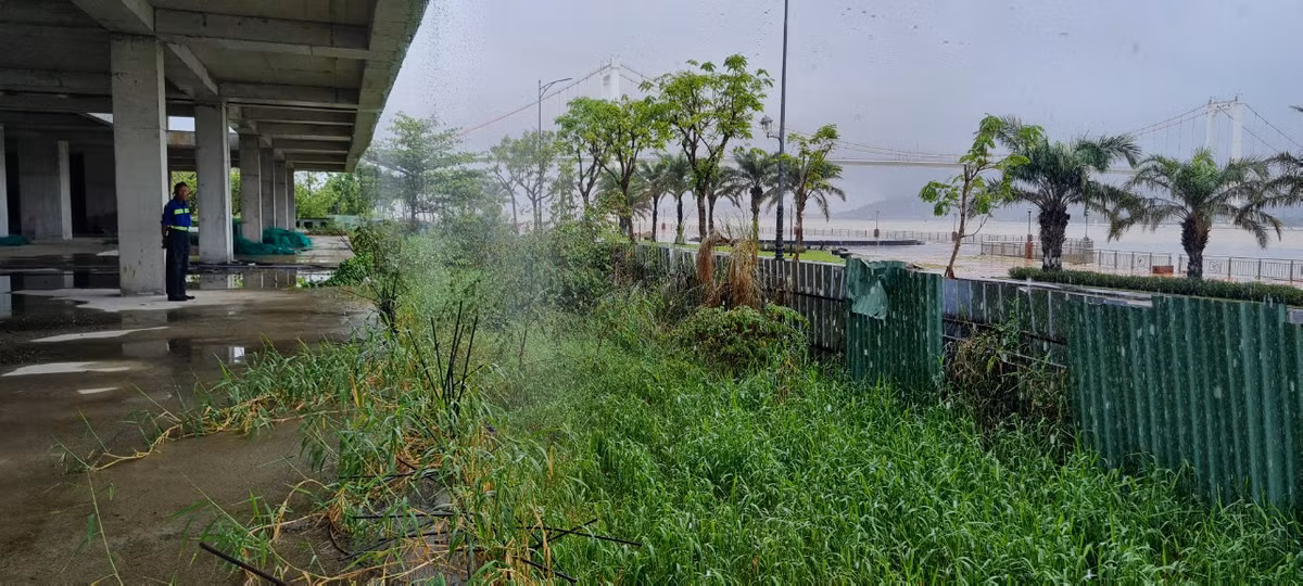 Xa xa là cầu Thuận Phước - cầu treo dây võng dài nhất Việt Nam.