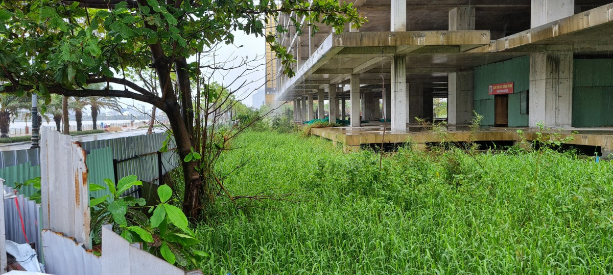 Khung cảnh hoang tàn đến khó tin tại một khu "đất vàng" giữa trung tâm thành phố.