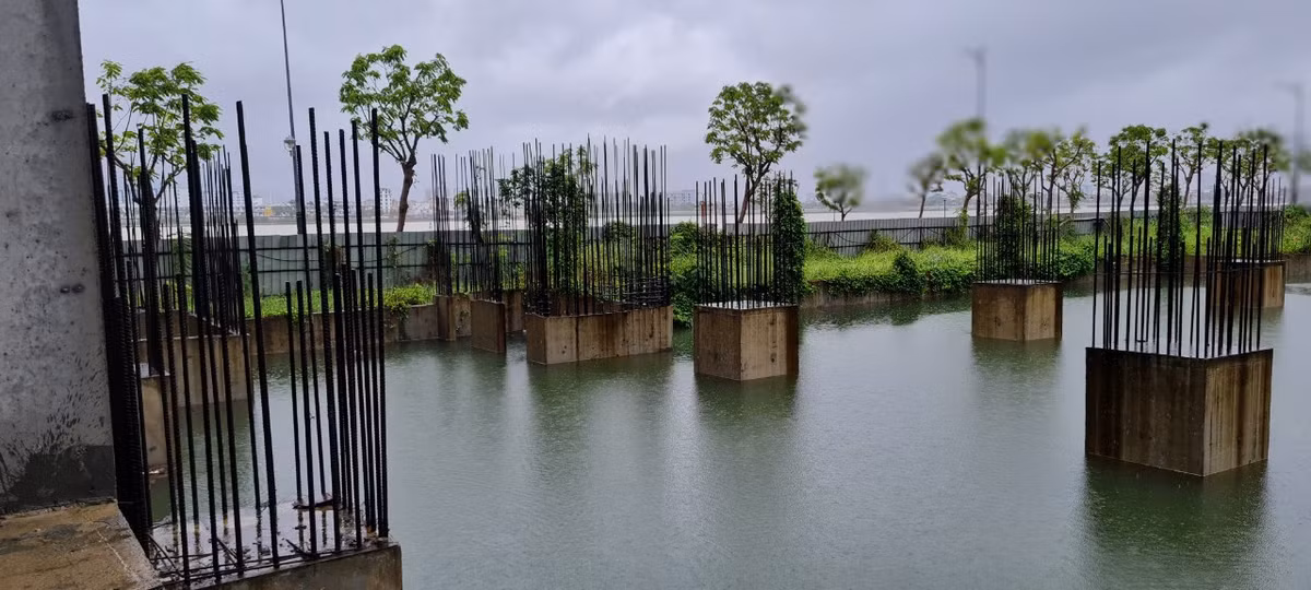 Và là một ao tù chứa nước mưa.