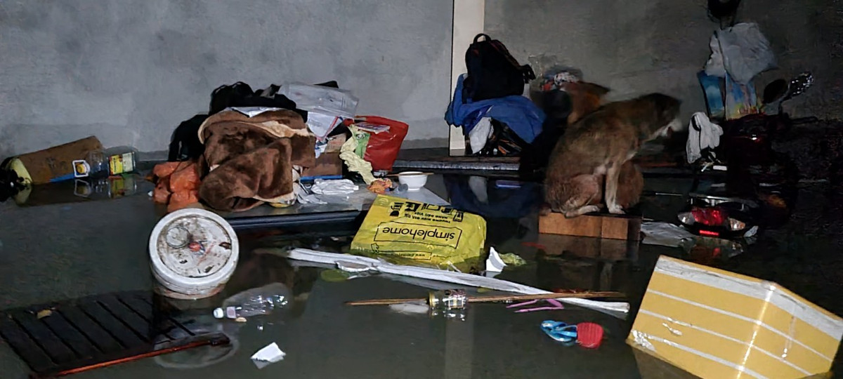 Cảnh tượng chưa từng thấy với nhiều gia đình.