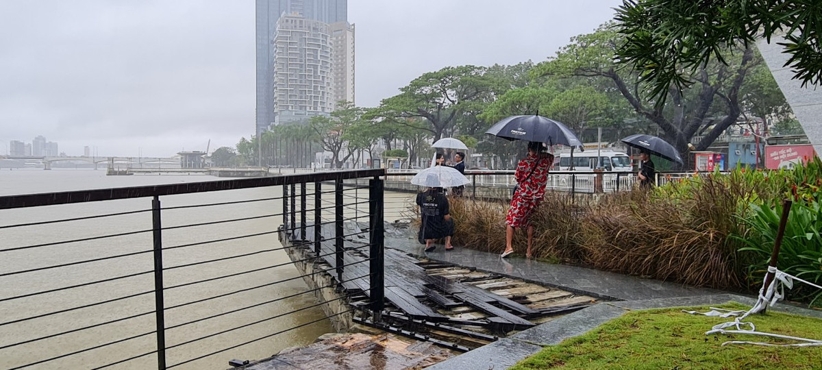 Và cả chụp ảnh nghệ thuật, dưới cơn mưa nặng hạt.