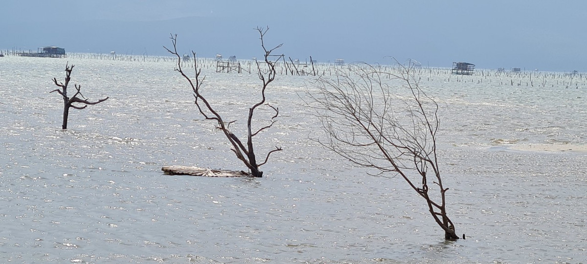 Nơi đây cũng được mệnh danh là “Tuyệt tình cốc” của xứ Huế.