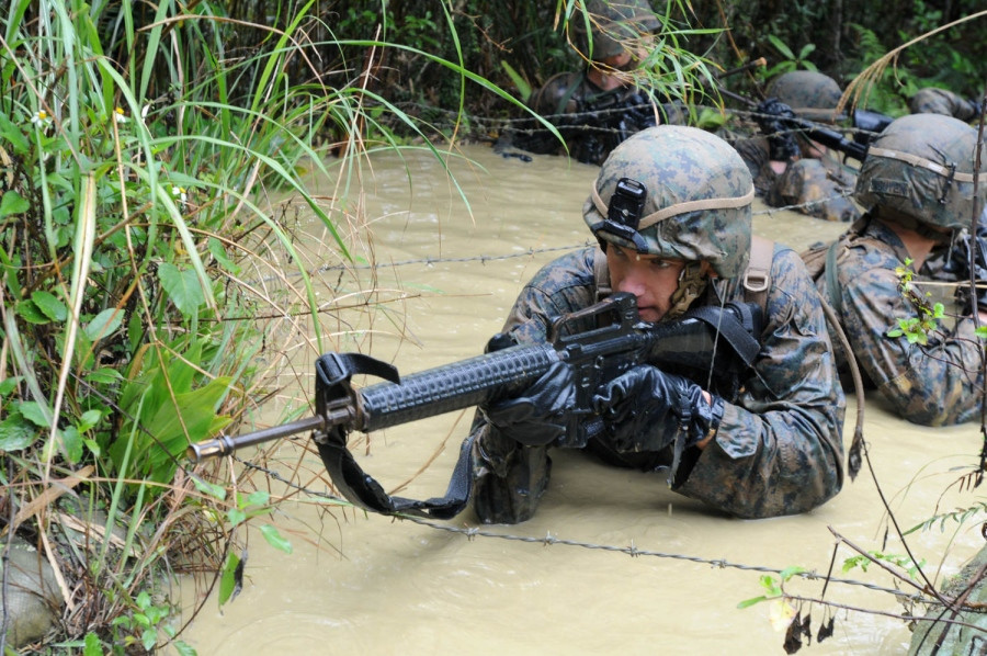 Ngoài ra, cũng có không ít lính Mỹ bị thương hoặc thiệt mạng do côn trùng, động vật có độc cắn hoặc do lũ quét. Nguồn ảnh: FAS.