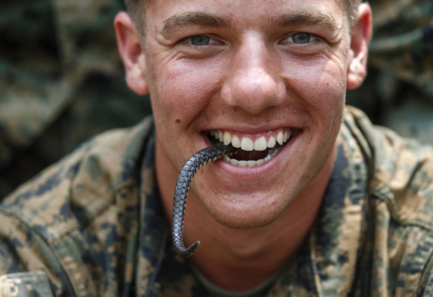 Lính Mỹ ăn sống một con rắn - một bài học sinh tồn khi tham gia khoá huấn luyện Rắn Hổ Mang Vàng - khoá huấn luyện tác chiến trong rừng nhiệt đới lớn nhất được Mỹ phối hợp với một vài quốc gia Đông Nam Á thực hiện. Nguồn ảnh: FAS.