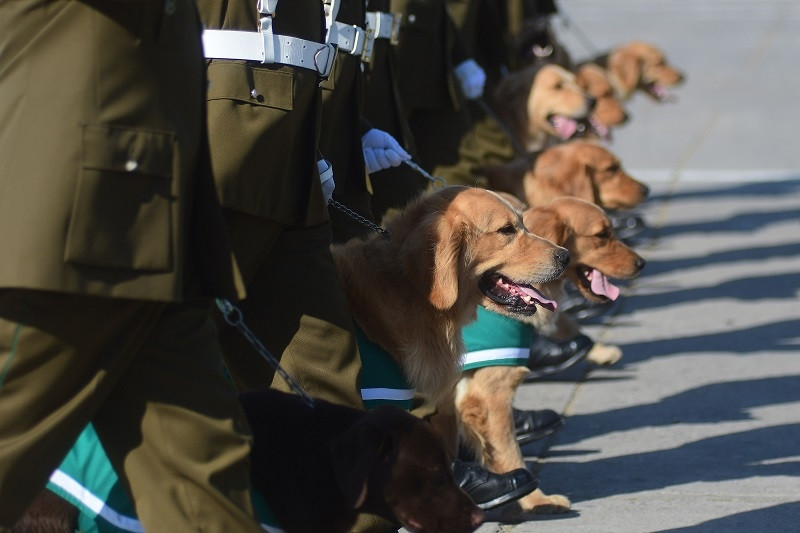 Cuộc diễu binh của Chile được tổ chúc rất hoành tráng tại Santiago, thu hút hàng triệu người. Cuộc diễu binh cũng được truyền hình trực tiếp trên đài phát thanh, sóng truyền hình và cả trên Internet. Nguồn ảnh: Livejounal.