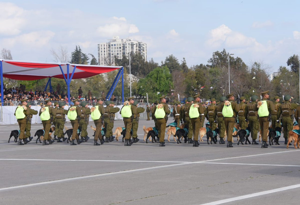 Việc sử dụng nhiều chó nghiệp vụ sẽ cho phép một người lính Chile kiểm soát được một khu vực rộng lớn thay vì tốn quá nhiều nhân lực trải dọc biên giới quốc gia này. Nguồn ảnh: Livejounal.