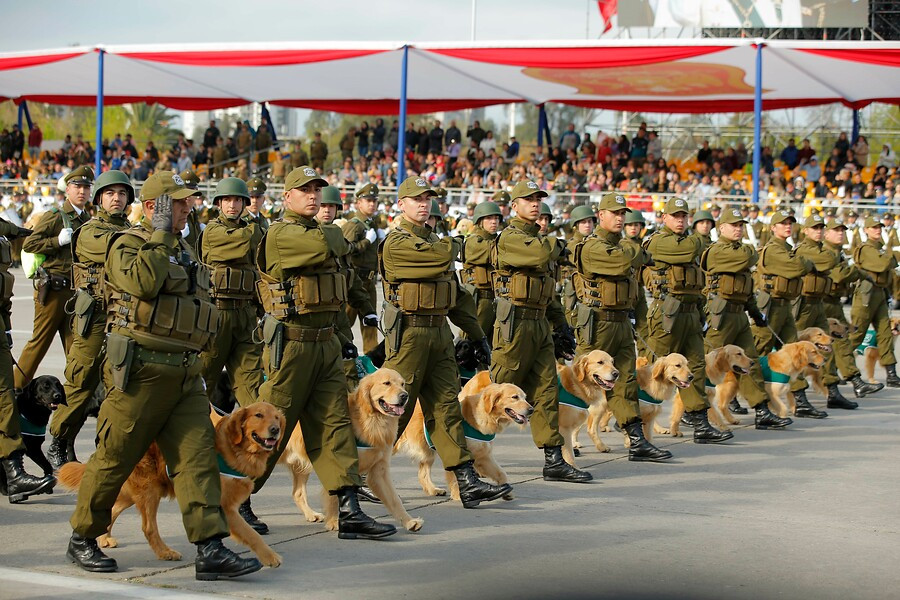 Ngày Độc Lập và Ngày Vinh Quang của Chile thường được gọi vắn tắt là Chile Fiestas Patrias - có nghĩa là Ngày lễ của Quê hương hay Ngày lễ Ái quốc. Nguồn ảnh: Livejounal.
