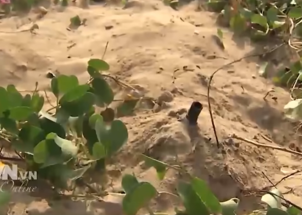 Ngoài ra, lực lượng đặc công tàu ngầm còn có khả năng nguy trang và xâm nhập xuất quỷ nhập thần như những người lính đặc công nước thông thường khác, giúp họ có thể tiếp cận được vào những vị trí mục tiêu cực kỳ khó khăn. Nguồn ảnh: QPVN.