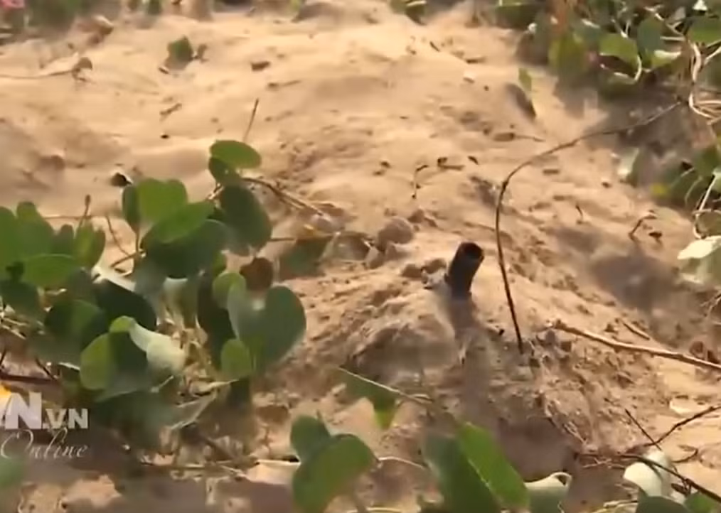 Ngoài ra, lực lượng đặc công tàu ngầm còn có khả năng nguy trang và xâm nhập xuất quỷ nhập thần như những người lính đặc công nước thông thường khác, giúp họ có thể tiếp cận được vào những vị trí mục tiêu cực kỳ khó khăn. Nguồn ảnh: QPVN.