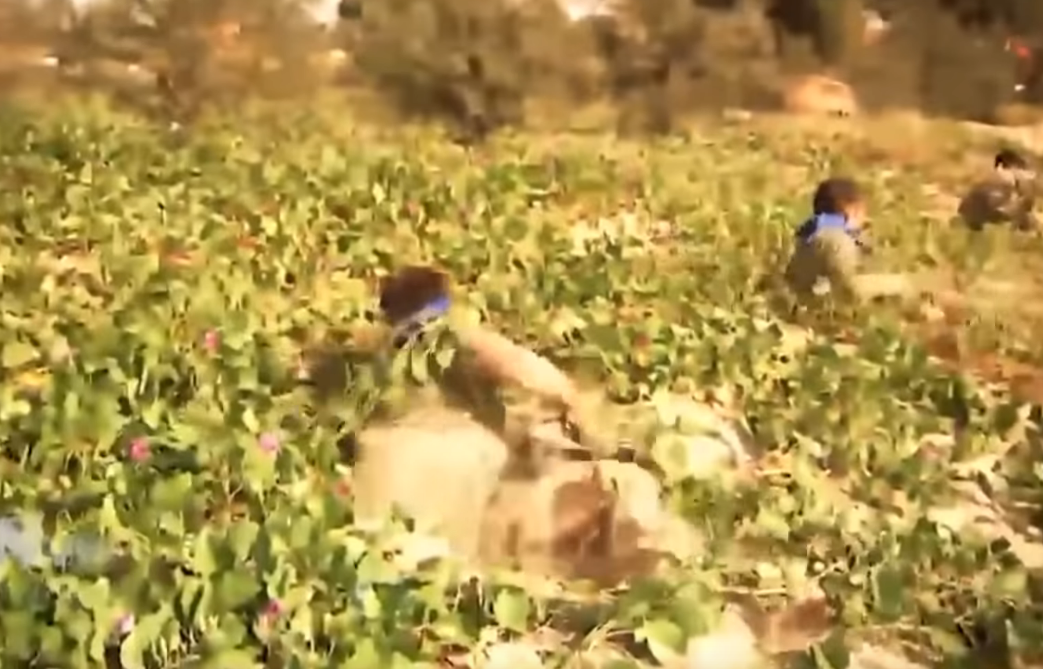 Đặc công tàu ngầm Việt Nam trên thao trường đầy nắng và gió.Nguồn ảnh: QPVN.