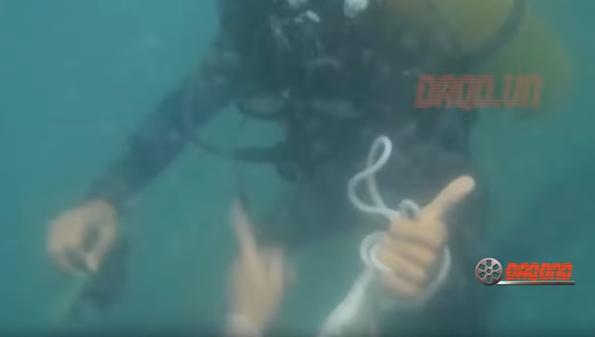 Chưa hết, lính đặc công nước ngoài việc phải đối phó với địch, đối phó với thiên nhiên thời tiết còn phải đối phó với nhiều loại "thủy quái" dưới lòng biển như cá mập - những yếu tố có thể ảnh hưởng trực tiếp đến nhiệm vụ và sinh mạng người lính khi tham gia huấn luyện hay thực chiến. Nguồn ảnh: ĐAQĐND.