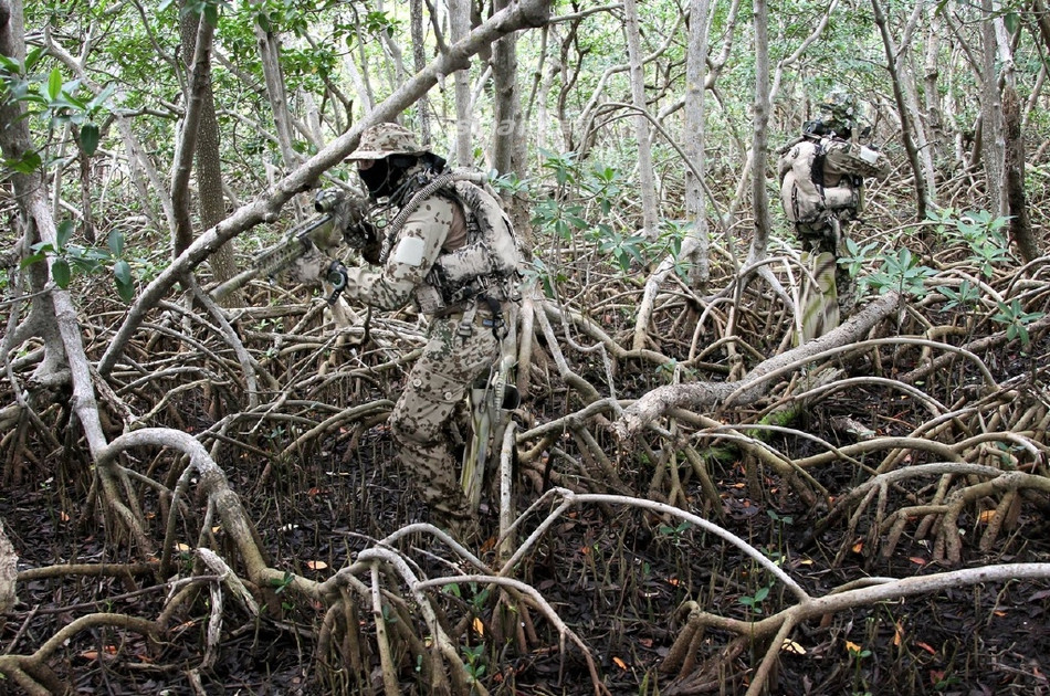Khi đã lên bờ, những người lính này gần như hoà mình vào môi trường xung quanh với bộ quân phục họ mang trên người. Nguồn ảnh: Sina.