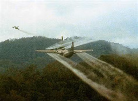 Môi trường tự nhiên cũng bị ảnh hưởng và chịu tác động lâu dài khi dioxin ngấm xuống nước ngầm, phát tán trong không khí, ngấm vào đất, ảnh hưởng tới cây trồng, vật nuôi,... Nguồn ảnh: Thearchive.