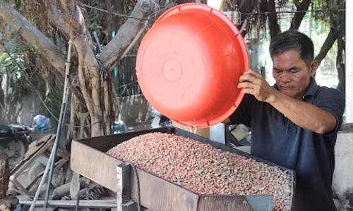 Lac rot gia, “tuc qua” sang che ra may ep dau, dan hoan ho