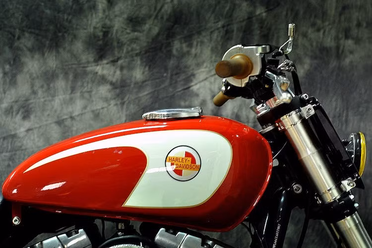 Ngoại trừ bình xăng sơn màu đỏ/trắng ngà cổ điển lấy từ Yamaha SR500, toàn bộ khung và nhiều chi tiết khác trên chiếc xe có màu đen bóng đầy vẻ mạnh mẽ.