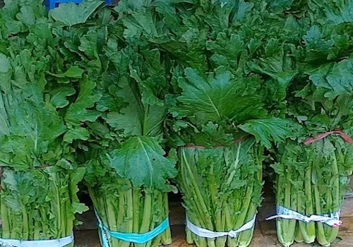 Sot rau rung gia 120k/mo cung khong co ma ban-Hinh-3