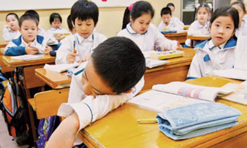 Vi sao Bo GD&DT dung cuoc thi giai Toan, Tieng anh qua mang?