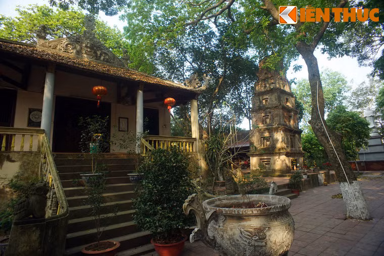 Năm 1939, tháp Cói từng được Viễn Đông Bác Cổ Pháp xếp hạng là một di sản văn hoá nổi bật của Việt Nam.