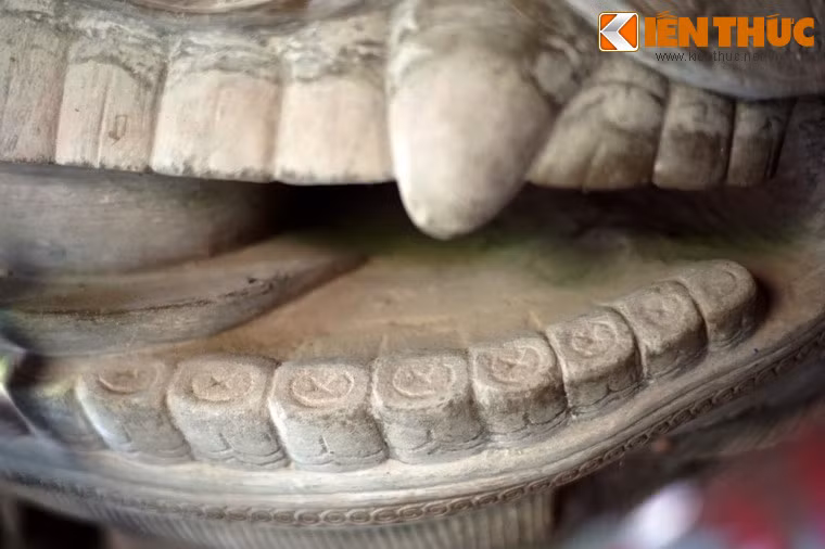 Mỗi chiếc răng được tạo hình rất chi tiết với các đường vân nhỏ.