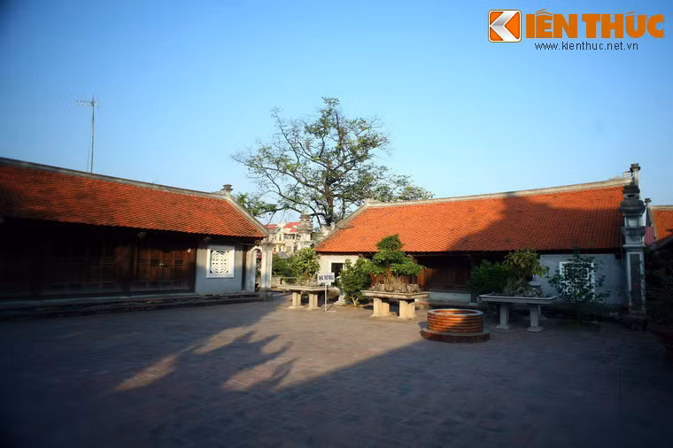 Ngày nay, chùa Dâu mang kiểu kiến trúc "nội công ngoại quốc" điển hình của các ngôi chùa cổ miền Bắc. Chùa có bốn dãy nhà liên thông hình chữ nhật bao quanh ba ngôi nhà chính, gồm tiền điện, thiêu hương và thượng điện.