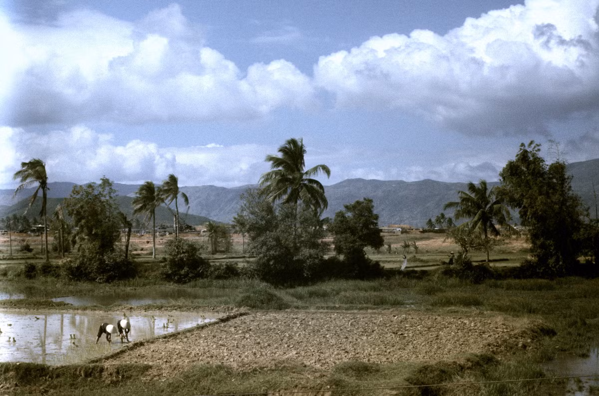 Khung cảnh trên đường đến Đức Phổ, Quảng Ngãi năm 1967. Ảnh: Arty611.smugmug.com.