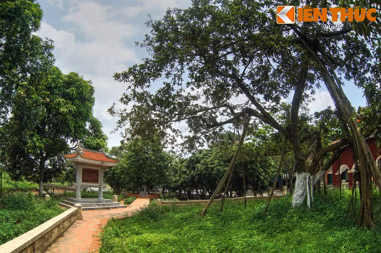 Nhân dịp này, đồng chí đã trồng một cây hoa ngọc lan lưu niệm cạnh cây đa lịch sử của Chủ tịch Hồ Chí Minh.