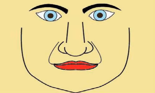 Đường Pháp Lệnh dài, chạy vào miệng là tướng của người trường thọ. Nếu đường này dẫn trực tiếp vào miệng thì sẽ gặp khó khăn về tài chính. Ảnh: Chinese.