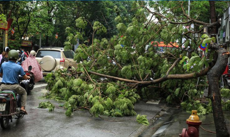 Trận mưa kéo dài kèm theo gió mạnh, nhiều cành cây trên đường Chùa Bộc gãy đổ xuống lòng đường khiến các phương tiện khó khăn trong việc di chuyển. (Ảnh: Người Lao Động). 