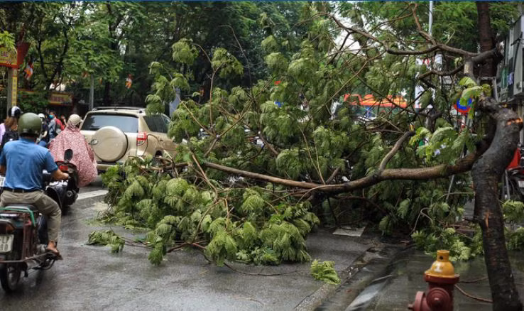 Trận mưa kéo dài kèm theo gió mạnh, nhiều cành cây trên đường Chùa Bộc gãy đổ xuống lòng đường khiến các phương tiện khó khăn trong việc di chuyển. (Ảnh: Người Lao Động). 