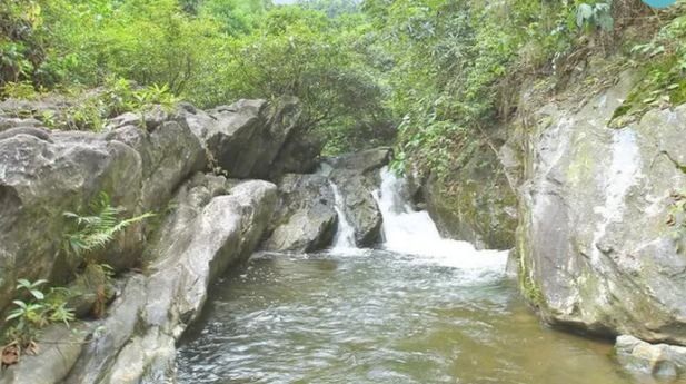  Tắm ở thác Liếp, nam sinh lớp 12 đuối nước tử vong: Chiều 20/4, được nghỉ học, Hoàng Đình Q. (SN 2003, học sinh lớp 12, ở Nghệ An) cùng bạn đến vui chơi và tắm tại khu vực thác Liếp (xã Thanh Sơn, huyện Thanh Chương). Khi đang tắm, em Q. không may bị đuối nước tử vong.