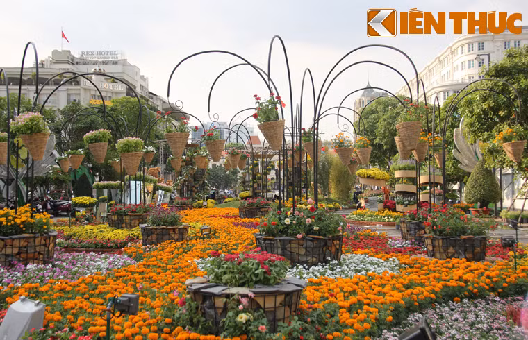 Đường hoa được chia thành 3 phân đoạn: Đoàn kết - Hoà bình; Năng động - Sáng tạo và Hội nhập - Thịnh vượng.