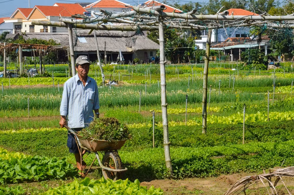 Lang du lich tot nhat the gioi 2024 goi ten Lang rau Tra Que-Hinh-2