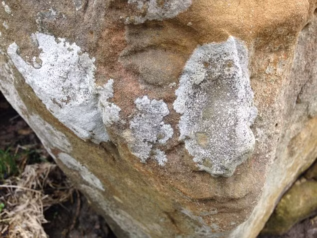 Các nhà khảo cổ học cho rằng vách đá hình độc đáo này có thể được hình thành cách đây hơn 40 năm.