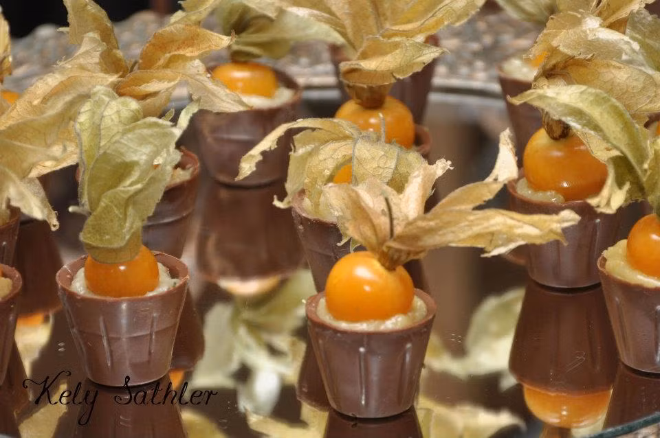 Dân gian Việt Nam thường dùng thân cây tầm bóp để trị một số bệnh liên quan đến đường tiểu và lợi gan. Ảnh: Kely sathler.