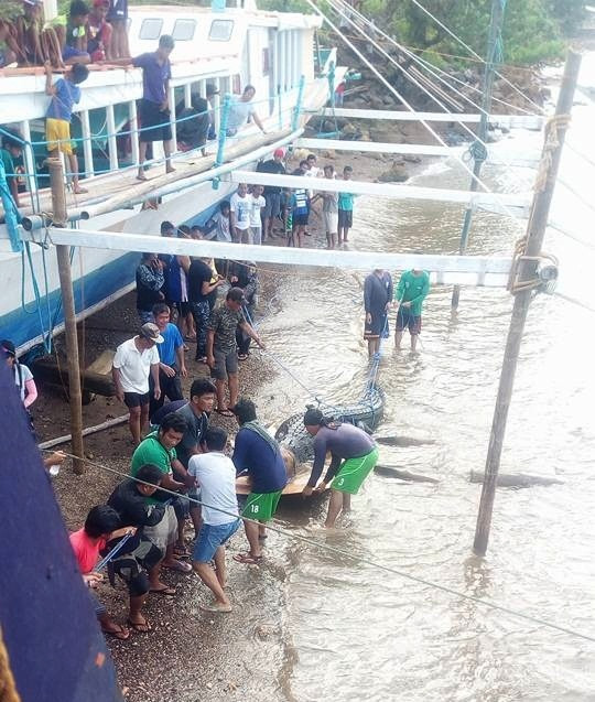 Bat duoc ca sau khong lo 