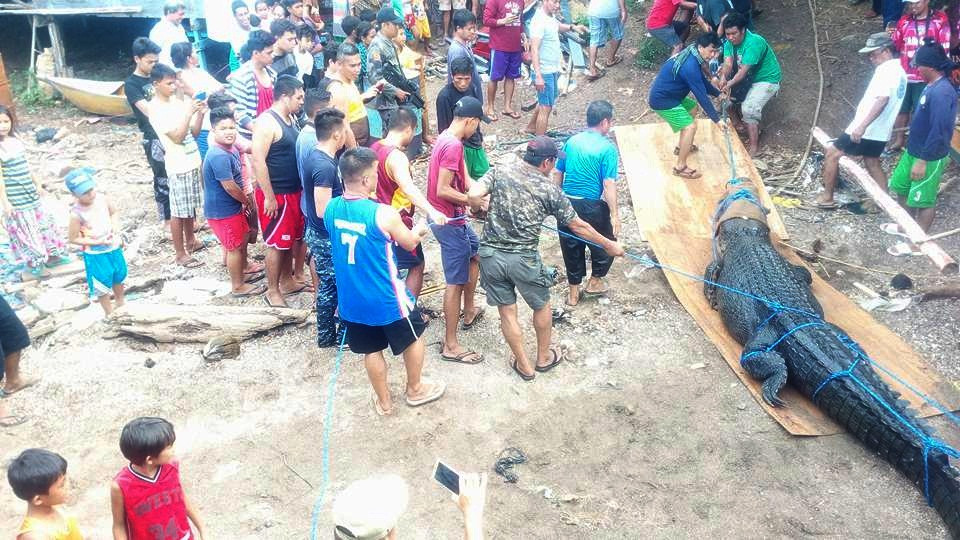 Bat duoc ca sau khong lo 