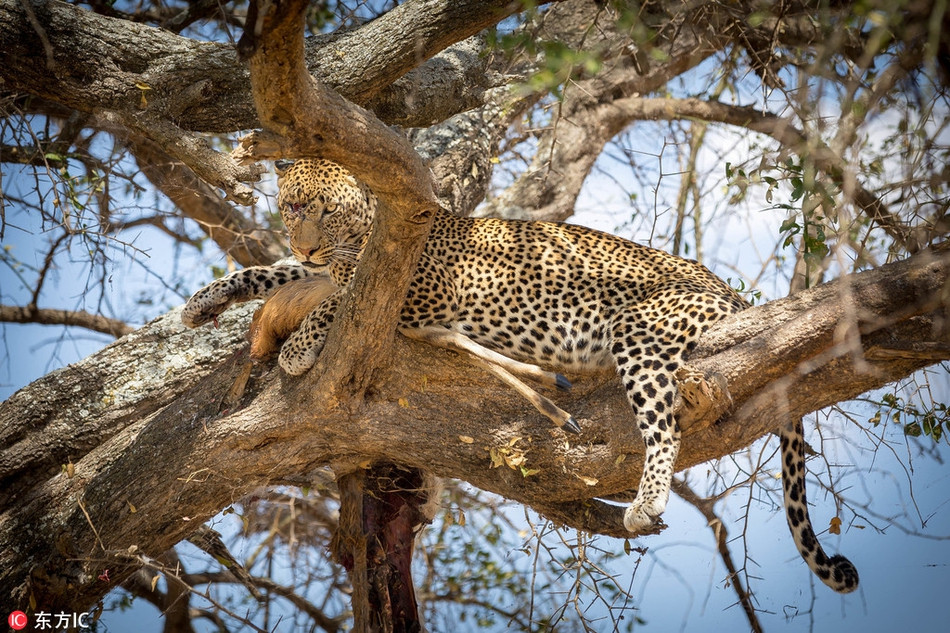 Bao dom chot mat van san moi dinh cao gay choang-Hinh-4